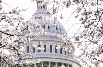 Beke-Martos Judit írása a 2022. évi amerikai "félidős" választások eredményéről